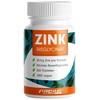 ProFuel Cinko Bisglycinas 365 Tabletės - 25 mg, 100% Vegan, Aukšta Biologinė Prieinamumas