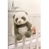 Cloud B Rūdri panda su muzikos dėžute