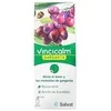 Salvat Vincicalm gerklės purškalas 25ml