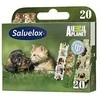Salvelox 20 tvarsčiai Animal Planet