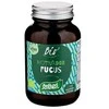 Santiveri Fucus dumbliai Bio 113 tablečių