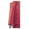 Schwarzkopf Igora Royal ilgalaikio poveikio plaukų dažai 60 ml - 6-6