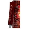 Schwarzkopf Igora Royal ilgalaikio poveikio plaukų dažai 60 ml - 8-19