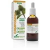 Soria Composor 19 Depulanas S Xxi 50ml