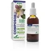 Soria Kompozitorius 20 Harpa S Xxi 50ml