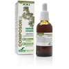 Soria Composor 25 Lepidiumai Xxi 50ml