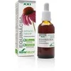 Soria Extracto Equinacea S Xxi 50ml