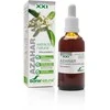 Soria Ekstraktas Azahar S XXI 50ml