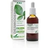Soria Desmodens ekstraktas S Xxi 50ml