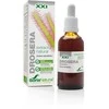 Soria Drosera ekstraktas S Xxi 50ml
