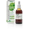 Soria Hamamelio ekstraktas S Xxi 50ml