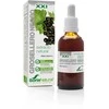 Soria Juodųjų serbentų ekstraktas S Xxi 50ml
