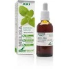 Soria Extracto De Melisa S Xxi 50ml