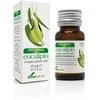 Soria Eukalipto eterinis aliejus 15ml