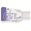 Soria Glucosor Vario 28 ampulės X 2ml
