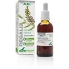 Soria Saldymedžio ekstraktasS Xxi 50ml