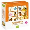 Jawa Stalo žaidimas Memory Animals