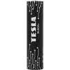 TESLA Alkalinė baterija LR03 B2 1.5V 2 vnt.