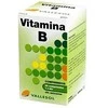 Vallesol vitaminų kompleksas B 30 vnt