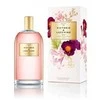 Victorio Lucchino Victorio ir Lucchino Victorio ir Lucchino Victorio ir Lucchino Victorio ir Lucchino Victorio ir Lucchino Victorio ir Lucchino Victorio ir Lucchino V y L Agua Wom 5 Floral et, 150 ml Vap New