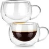 Dvigubos sienelės stiklinės Vilde 280 ml, 2 vnt.