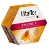 Vitaflor Bičių pienelis Energija 20 vnt. 200ml
