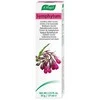A. VOGEL Vogel Symphytum kremas 35g