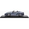 Porsche 718 Spyder RS 982 1:18 Modelis riboto leidimo originalus WAP0212160RSPY