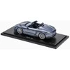 Porsche 718 Spyder RS 982 1:18 Modelis riboto leidimo originalus WAP0212160RSPY