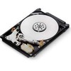 Kietasis diskas SEAGATE 1TB
