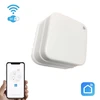 Vandens nuotėkio jutiklis Wi-Fi Smart Home