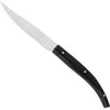 Arcos STEAK BASIC peilis keptai mėsai, ilgis 110/230 mm