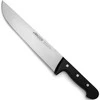 Arcos UNIVERSALUS mėsininko virtuvinis peilis žaliai mėsai, ilgis 250/383 mm
