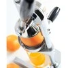 Citrusinių vaisių sulčiaspaudė „Bar Up Bar“ su svirtimi, 51 cm - Hendi 695906
