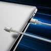 Laidas iš USB-C į USB-C Baseus Tungsten Gold, 100 W, 1 m (auksinis)