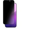 AmazingThing Radix Privacy Apsauginis stiklas skirtas Apple iPhone 17