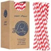 Gsg24 BIO ekologiški popieriniai šiaudeliai PAPER STRAWS storio 8/205mm - balti ir raudoni 160 vnt.