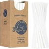 Gsg24 BIO ekologiški popieriniai šiaudeliai PAPER STRAWS 6/205mm - balti 250 vnt.