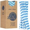Gsg24 BIO ekologiški popieriniai šiaudeliai PAPER STRAWS storio 8/205mm - balti ir mėlyni 160 vnt.