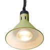 Hendi Kūginė pakabinama maisto šildymo lempa, 275 mm skersmens, 250 W - žalia