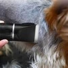 Maszynka Gyvūnų kirpimo mašinėlė PetTrim Pro ER1120