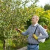 RTO Slėginis purkštuvas GardenPro, 5L