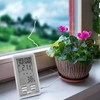 Retoo Skaitmeninė meteorologinė stotelė HomeClimate