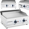 Royal Catering Dvigubas lygus reguliuojamas nerūdijančio plieno dujinis grilis gamtinėms dujoms 2x 3,1 kW 0,02 baro 60 x 40 cm