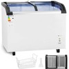 Royal Catering Stiklinis šaldiklis šaldytiems ledams, 273 l, 198 W
