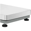 Virtuvinės svarstyklės Steinberg Systems Sandėlio platformos svarstyklės 40 x 50 cm 300 kg / 0,01 kg