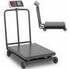 Virtuvinės svarstyklės Steinberg Systems Pramoninės platforminės svarstyklės ant ratų 600 kg / 100 g LCD