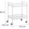 Steinberg Systems Laboratorinis kosmetinis gydymo vežimėlis pagamintas iš plieno, 2 lentynos, 73 x 44 x 86 cm, 20 kg