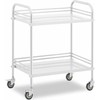 Steinberg Systems Laboratorinis kosmetinis gydymo vežimėlis pagamintas iš plieno, 2 lentynos, 73 x 44 x 86 cm, 20 kg