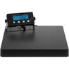 Virtuvinės svarstyklės Pramoninės pašto siuntų svarstyklės 300kg / 50g LED Steinberg Systems SBS-PT-300C